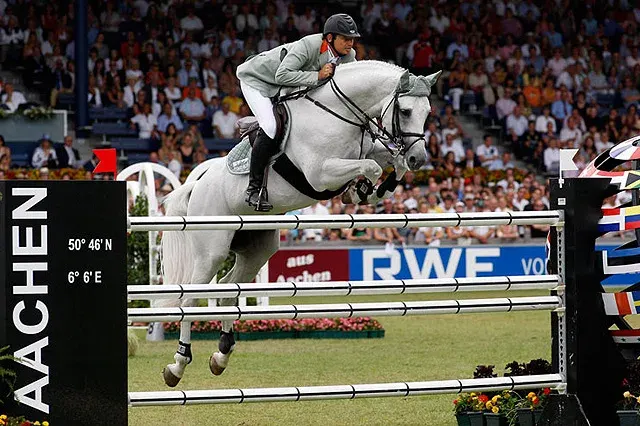 Cornet Obolensky, Belgian Warmblood breeding stallion