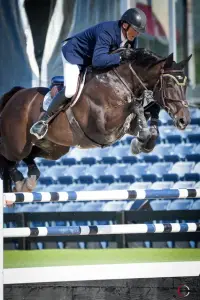 Balous Diamond, Foto 4