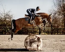 Charité, Foto 3