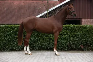 Emerthago, Foto 6