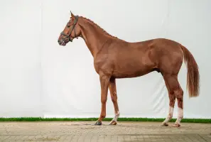 Emerthago, Foto 3