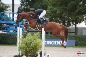 All I want L, Foto 3